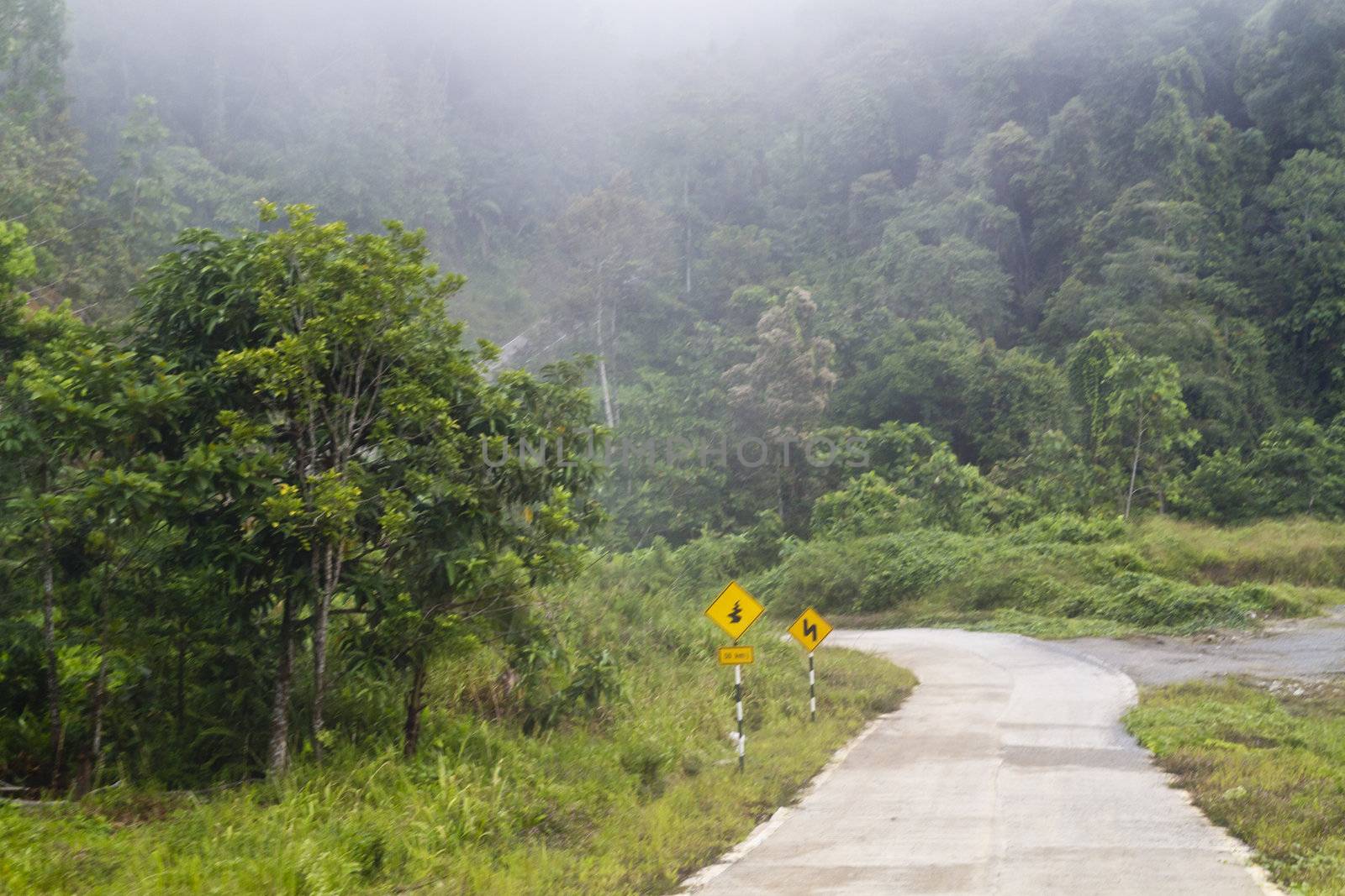 An aspalt road continues in the heart of tropical jungle in Sarawak Malaysia
