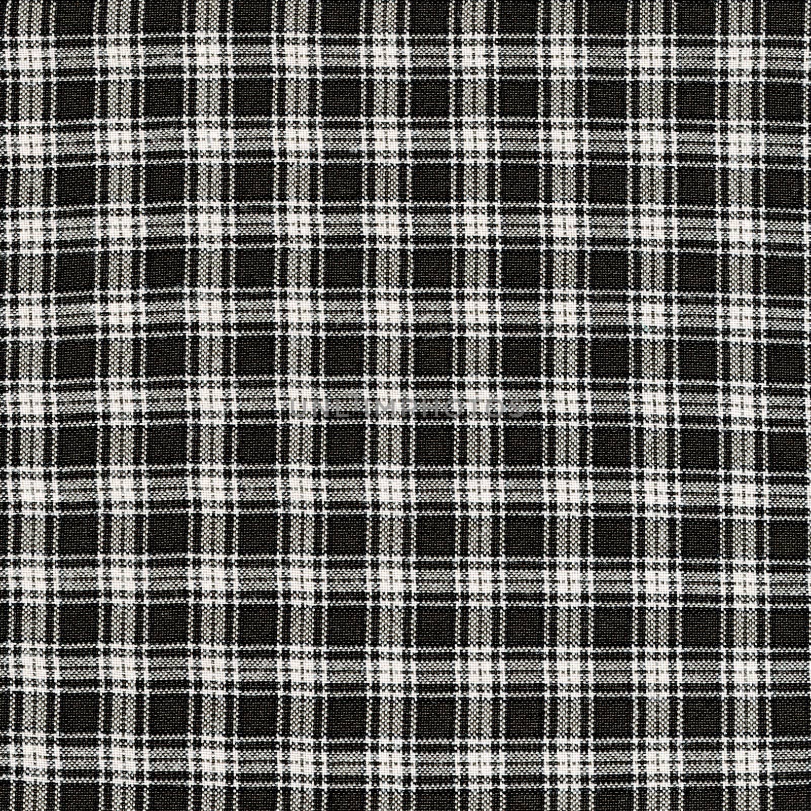 Black-white plaid pattern fabric texture. (High.res.scan.)