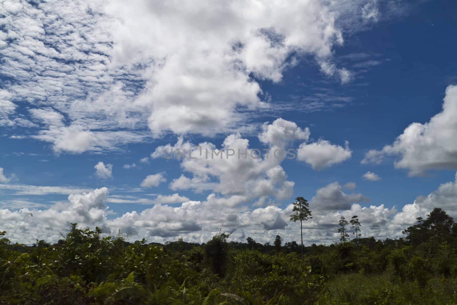 sunny day with bright blue sky and puffy white clouds