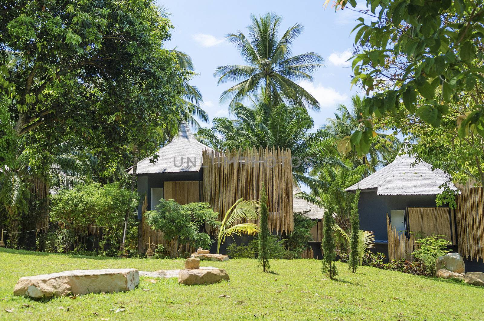 bungalows in tropical resort asia by jackmalipan