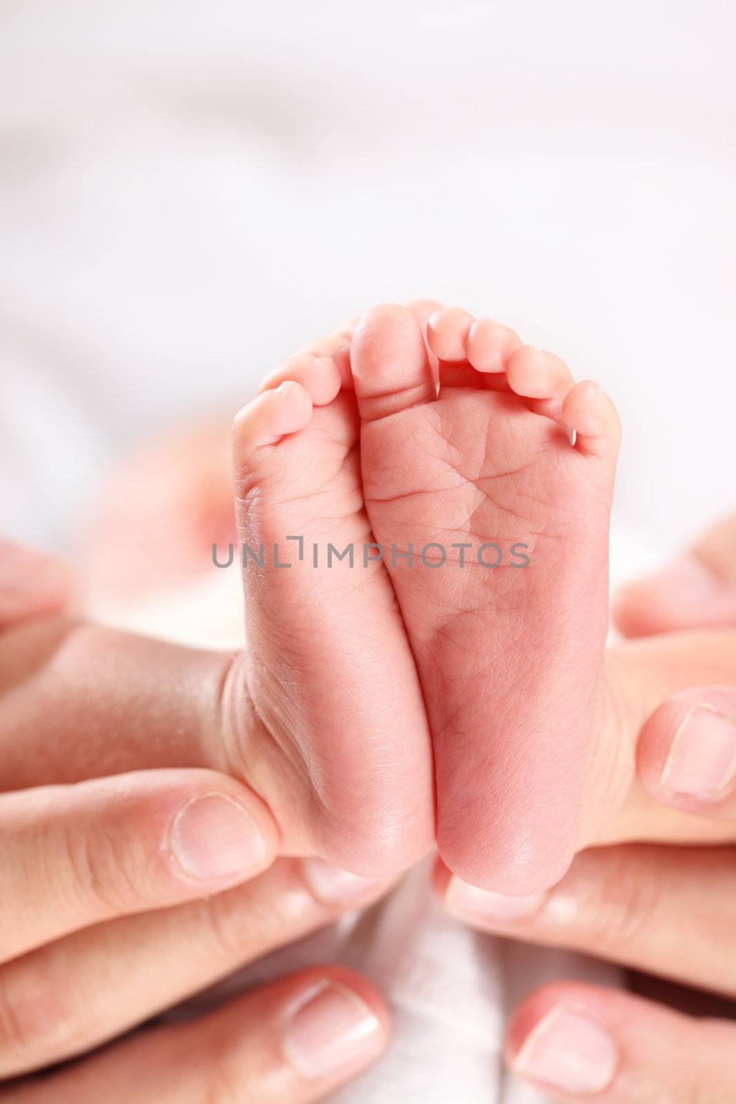 A parent's hands tenderly hold their newborn's feet