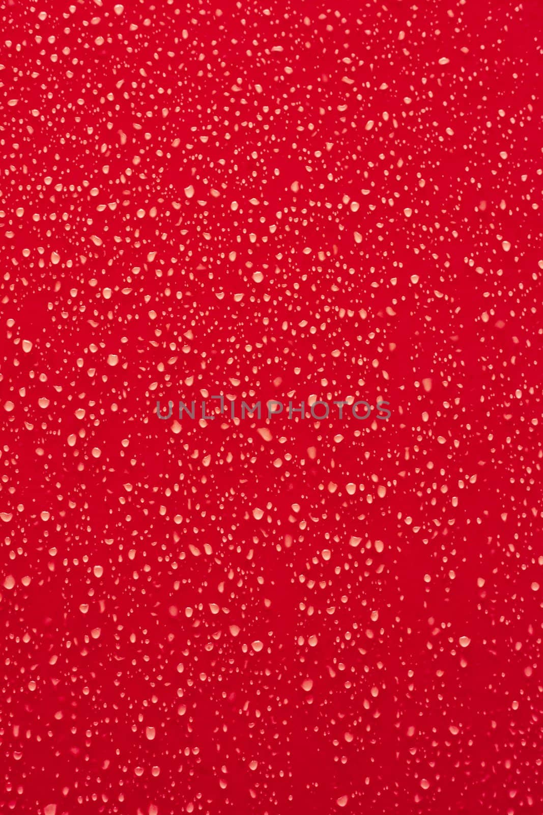 Water droplets on a red surface