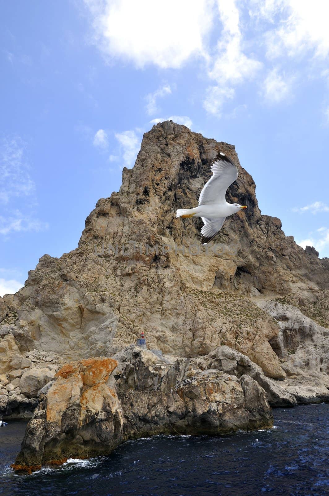 a seagull flying around a small island in the Balearics