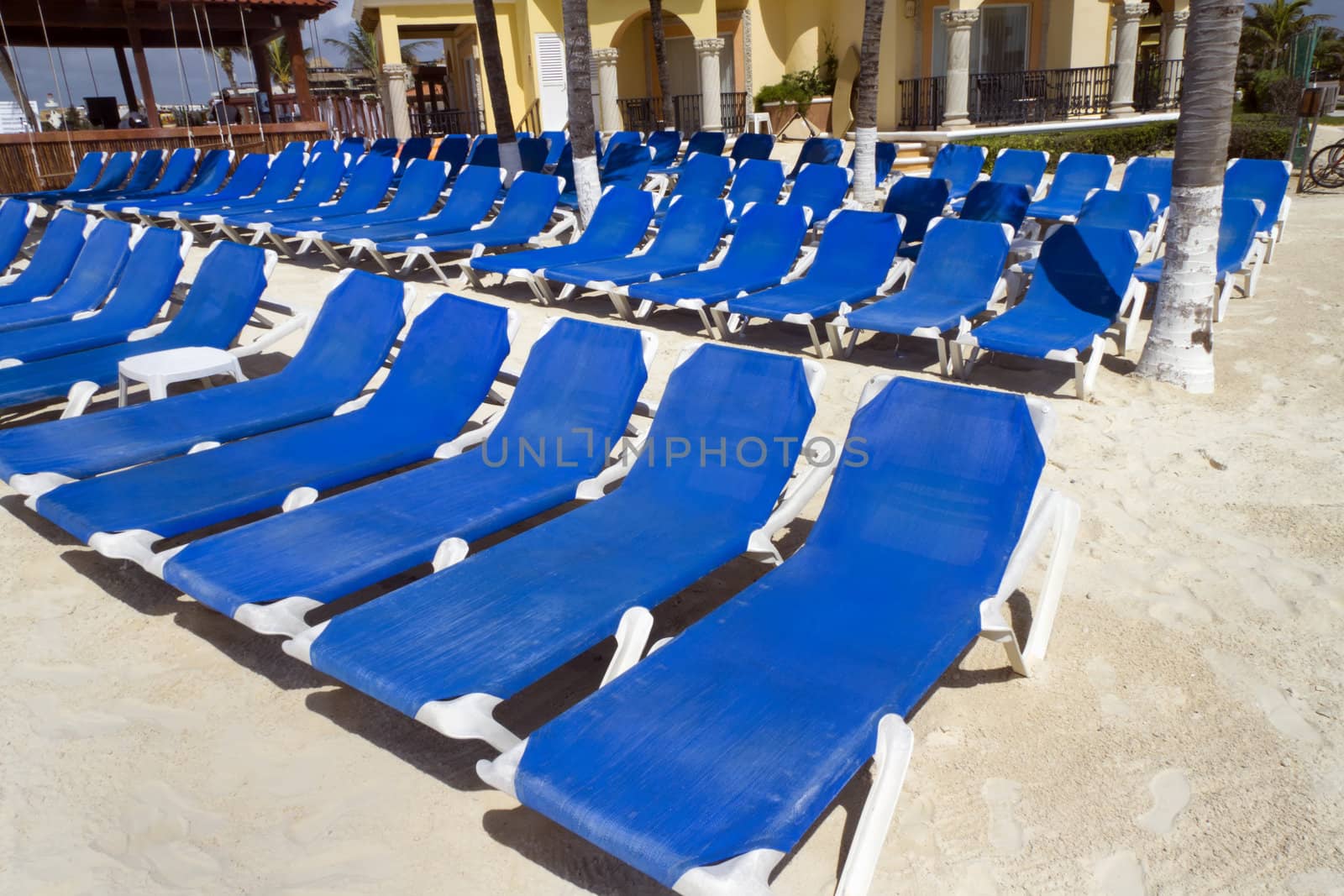 Rows of blue several lounge chairs on the beach