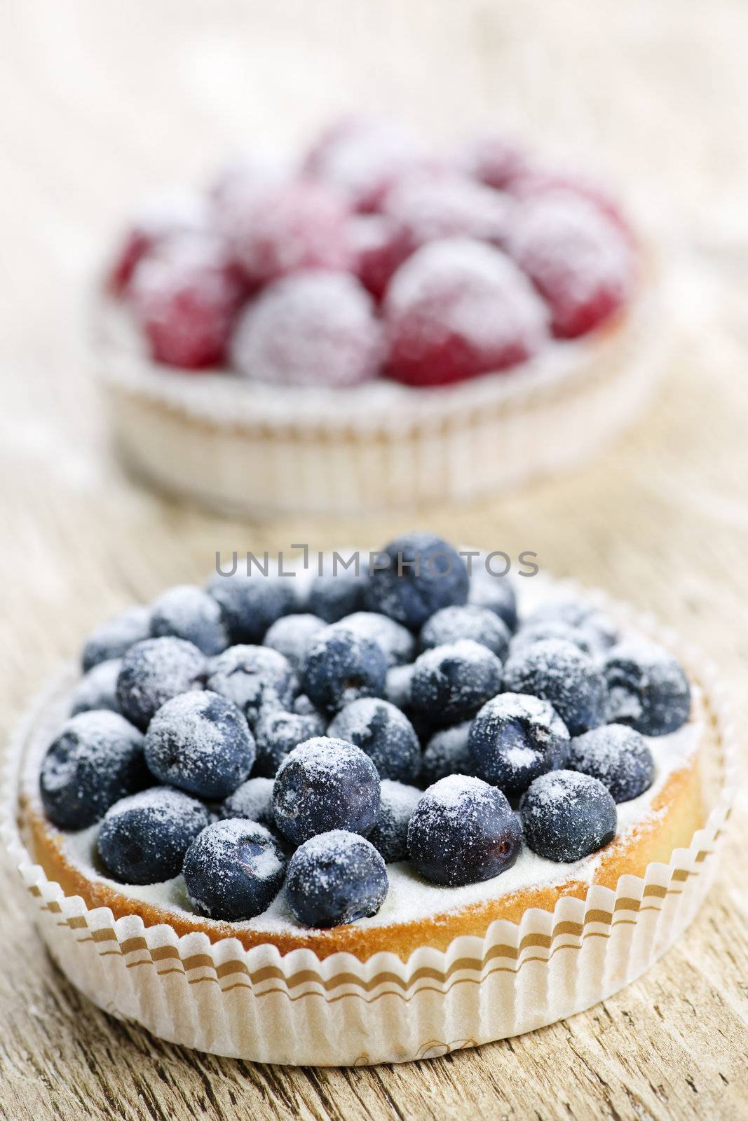 Fruit tarts by elenathewise