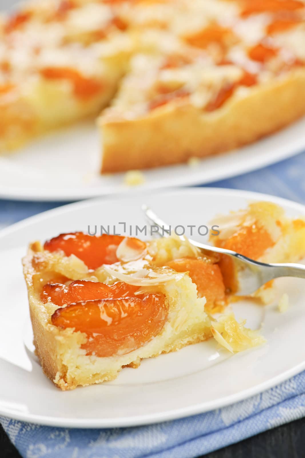 Slice of fresh baked apricot and almond pie dessert