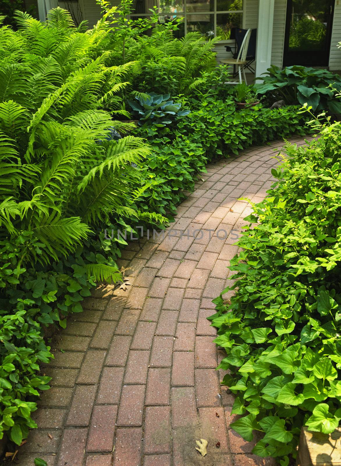 Brick path in landscaped garden by elenathewise