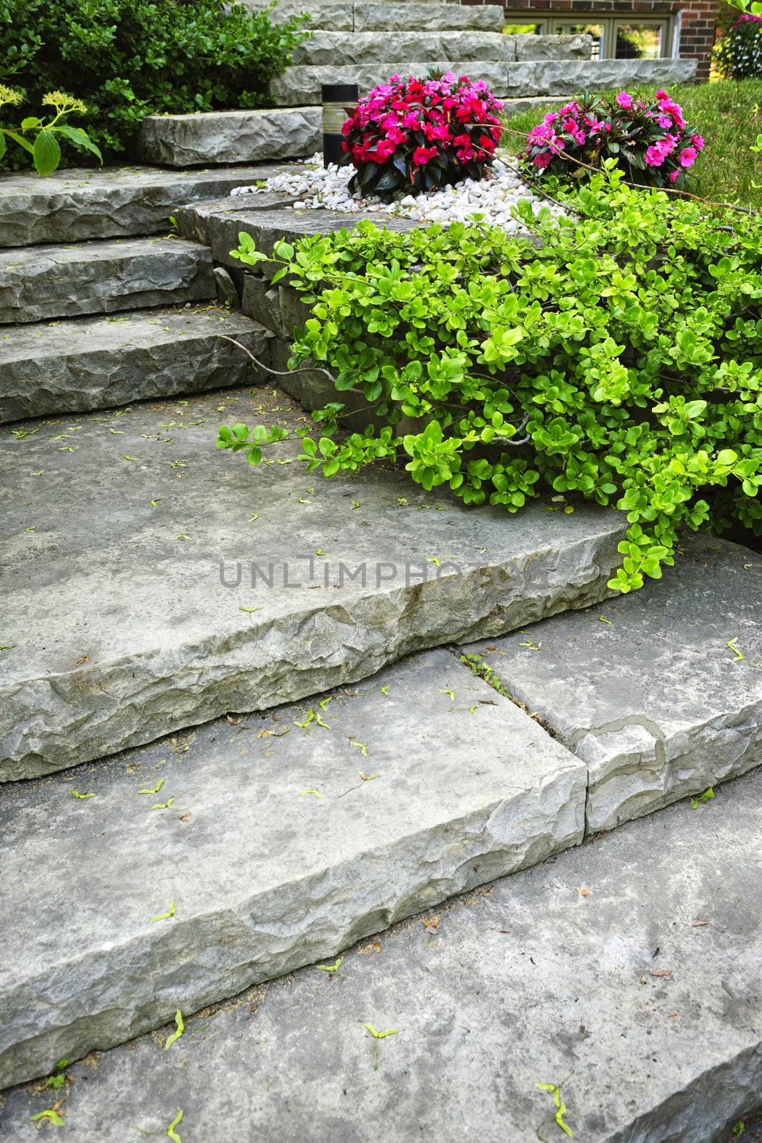 Natural stone stairs landscaping in home garden