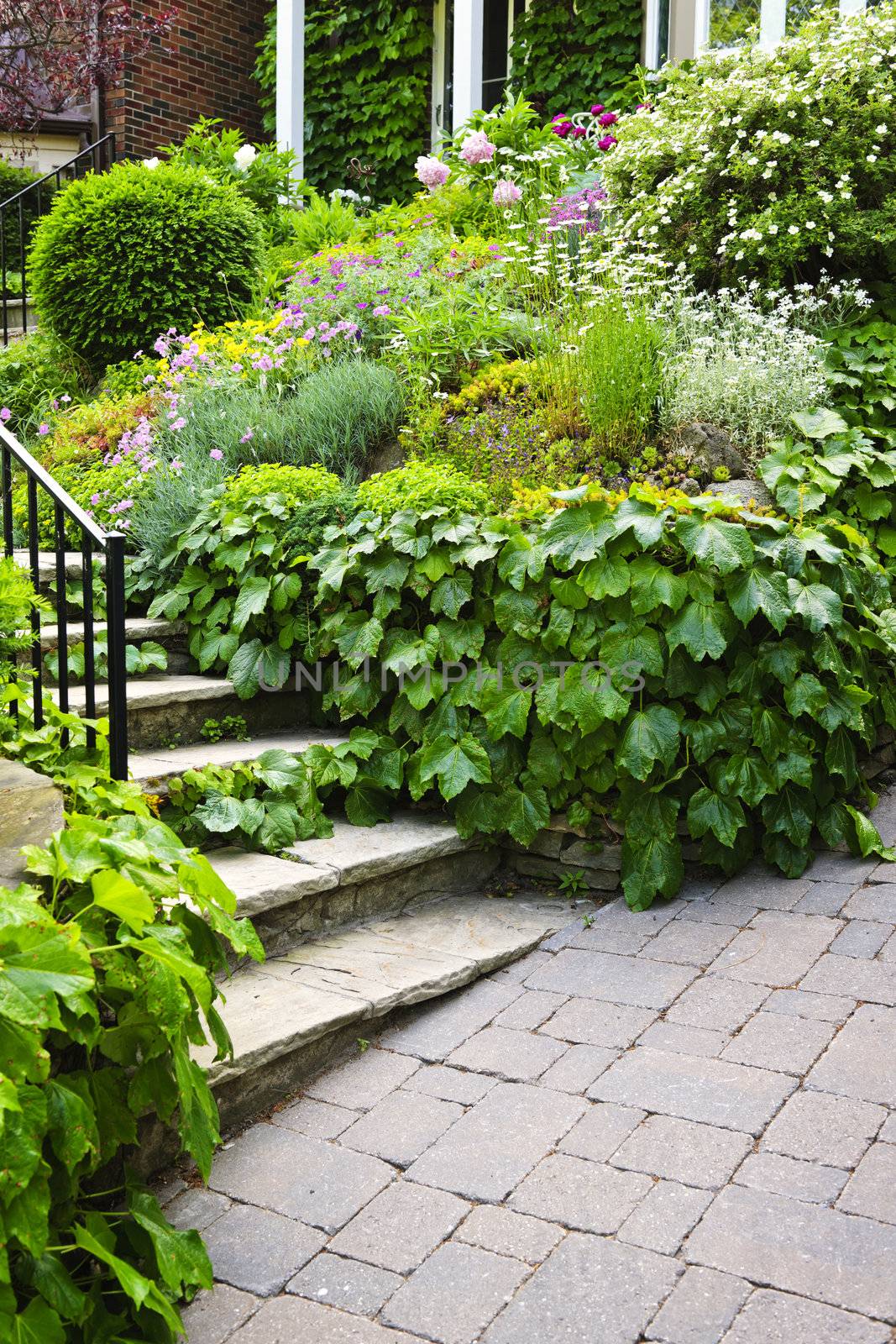 Landscaped garden path with natural stone steps and metal railing