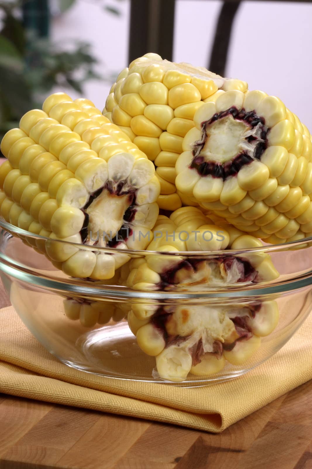 fresh, healthy and delicious organic corn, perfect vegetarian ingredient for all kinds of food 