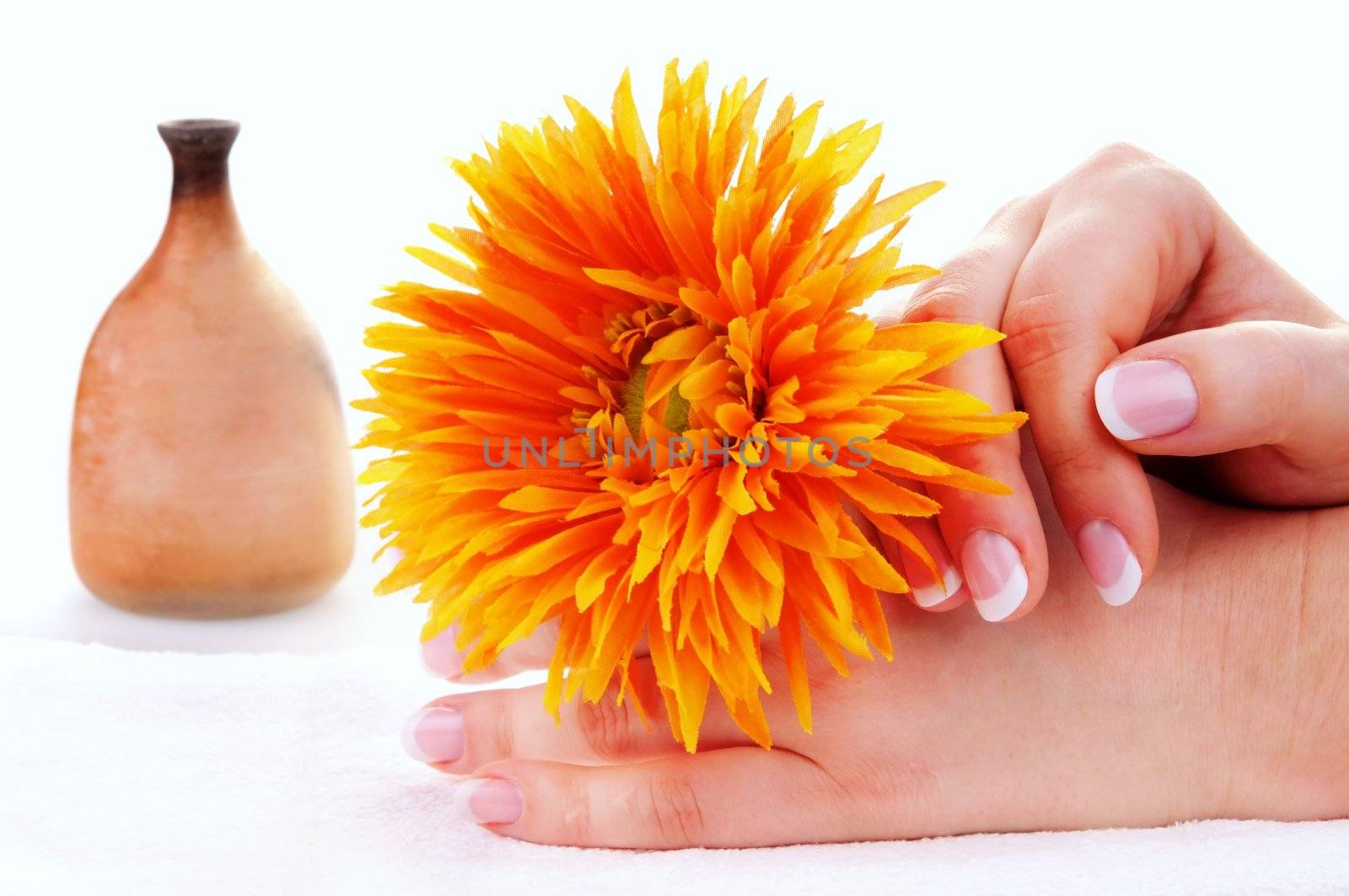 Female hands with nice french manicure and a flower on white towel