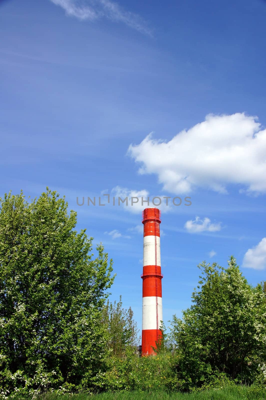 Pipe on a background of green trees and the blue sky