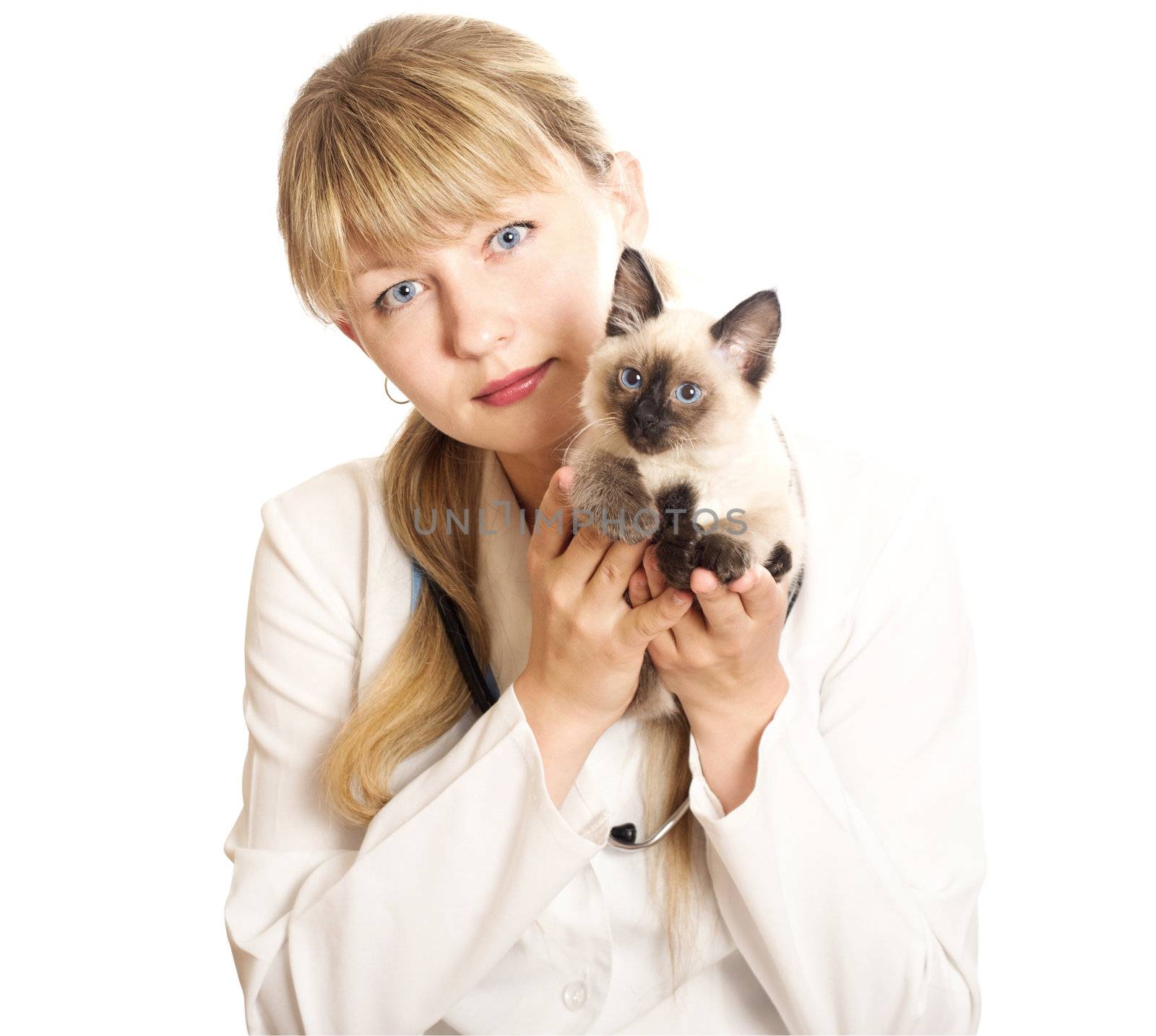 veterinarian holding  kitten by gurin_oleksandr
