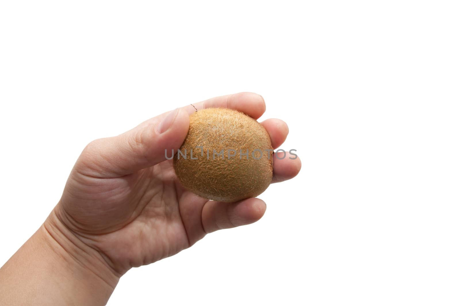 kiwi fruit in his hand on a white background by schankz