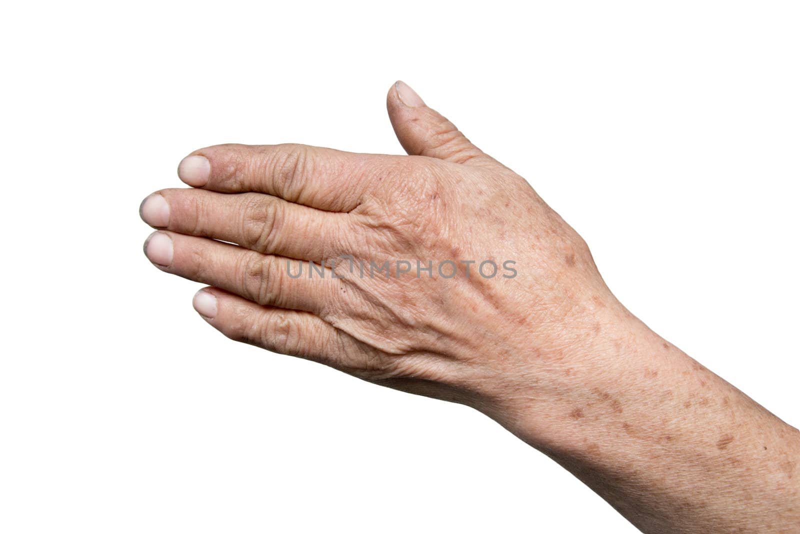 grandmother's hand on a white background by schankz