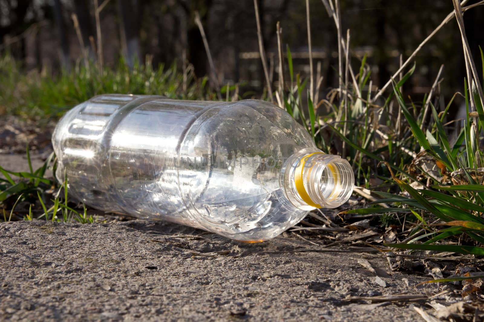 plastic bottle on the nature