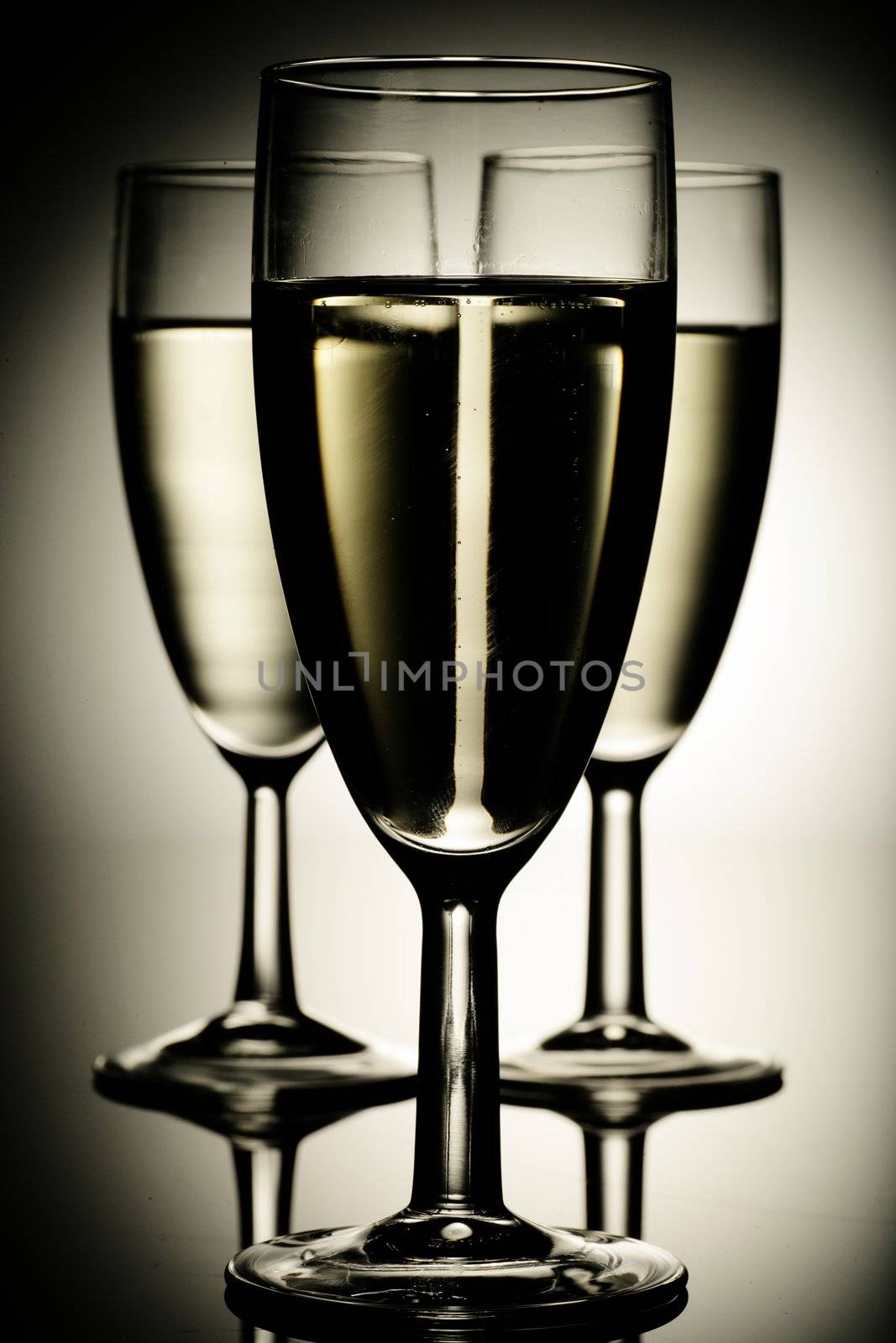 sparkling champagne wine glasses shot in studio