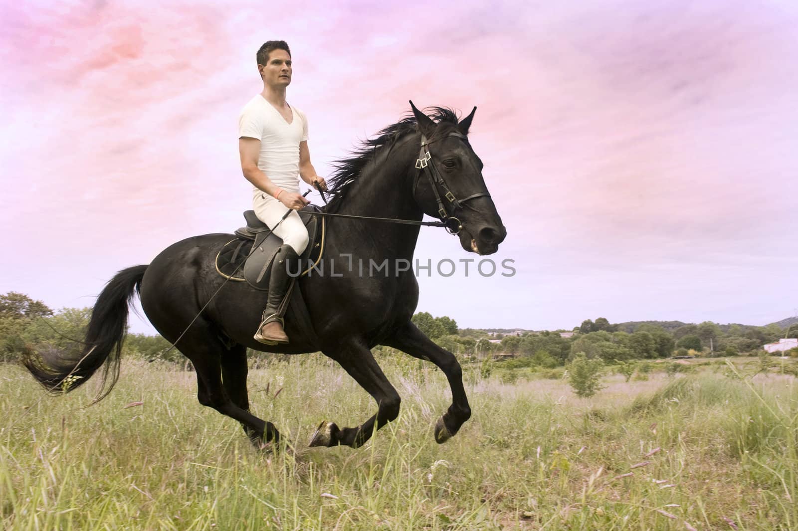 young man and his black stallion in  a field