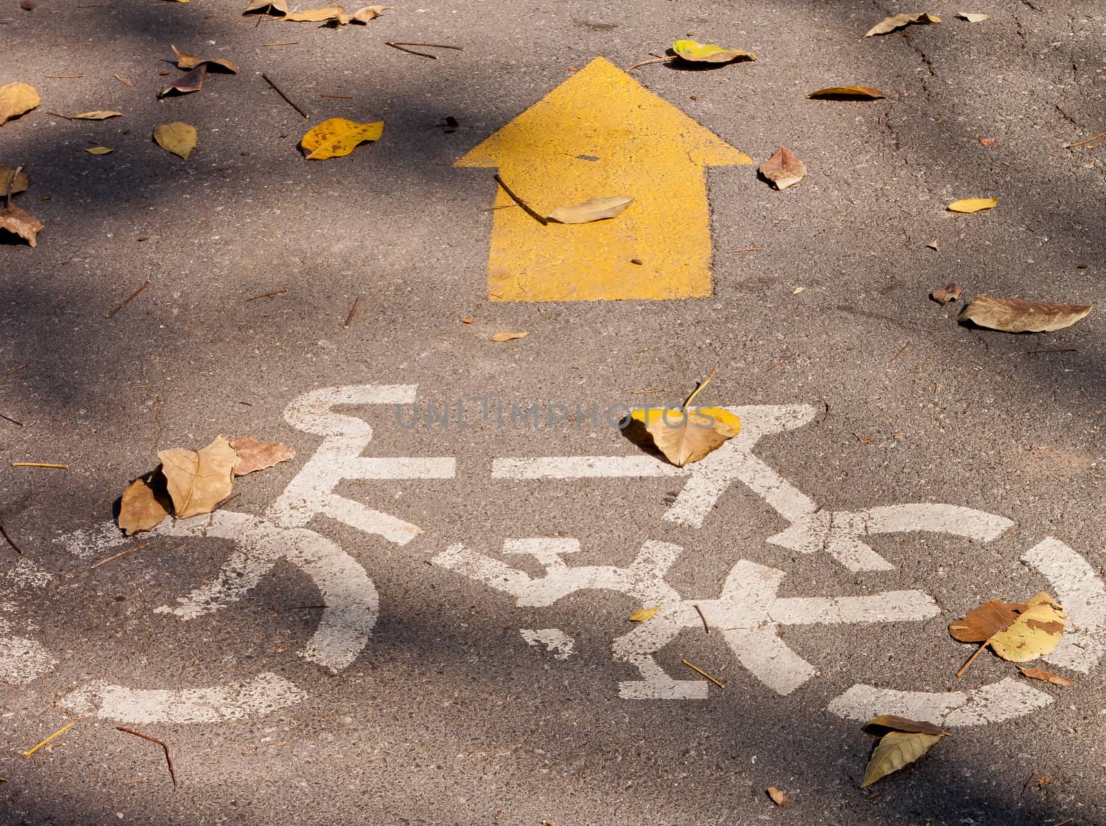 yellow arrows and bicycle sign. by orapan