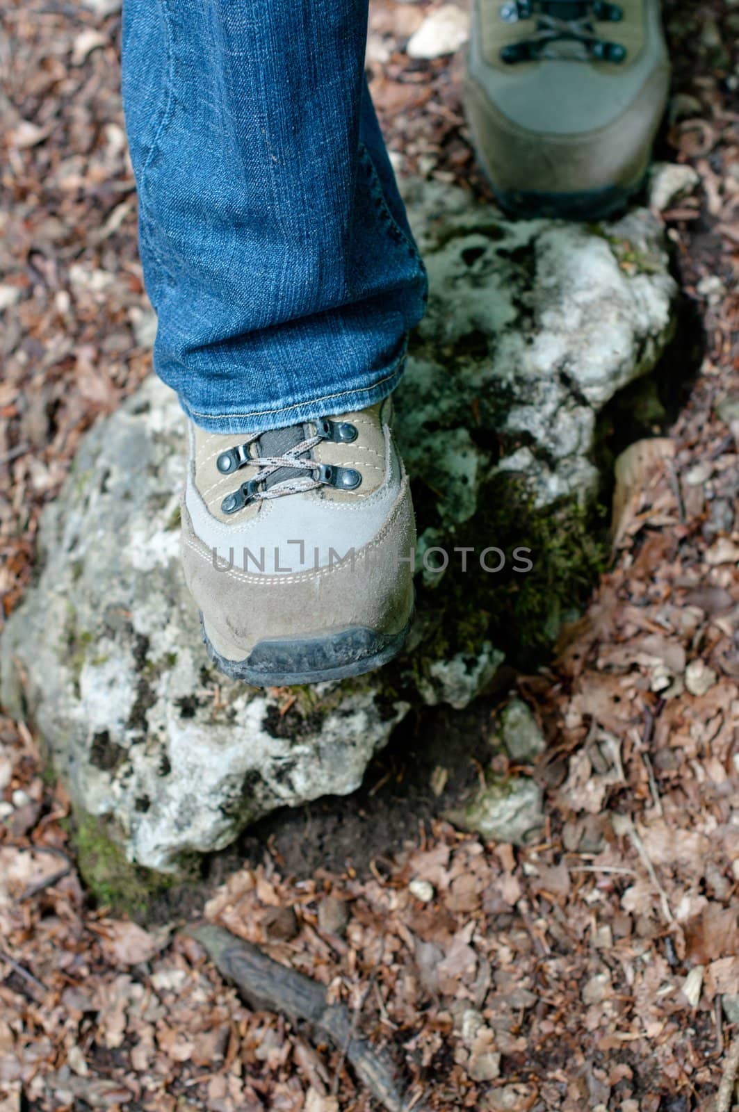 Woman walking cross country in spring forest