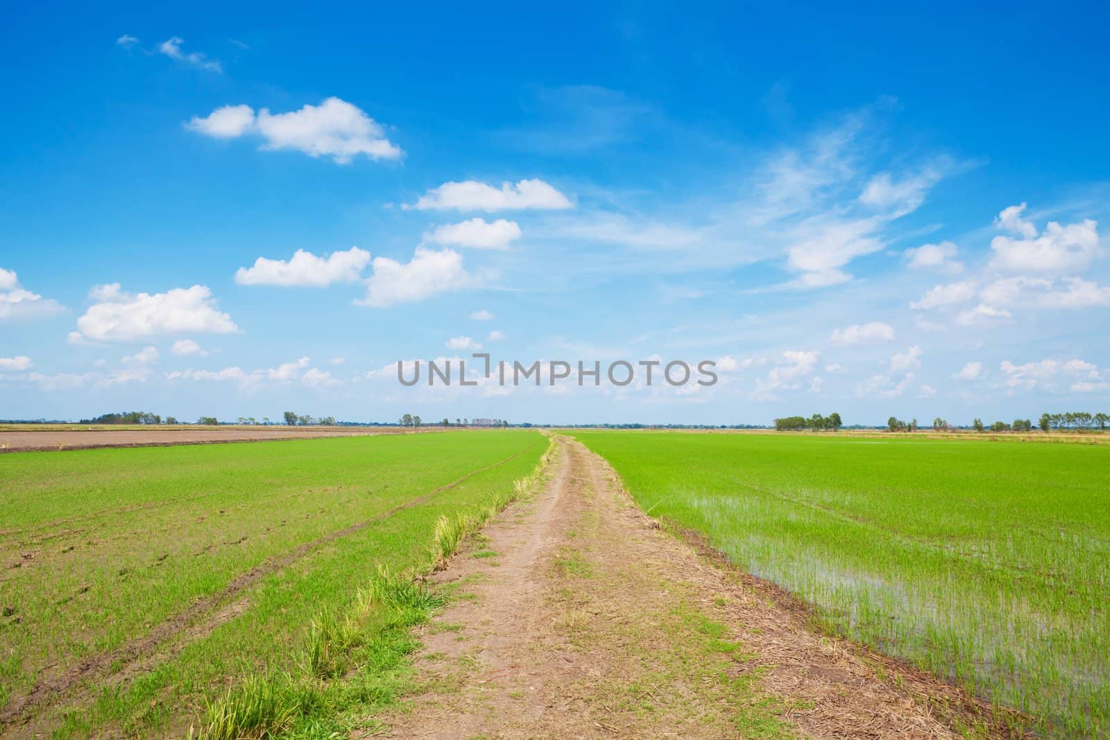Off-road track on green field with blue sky
