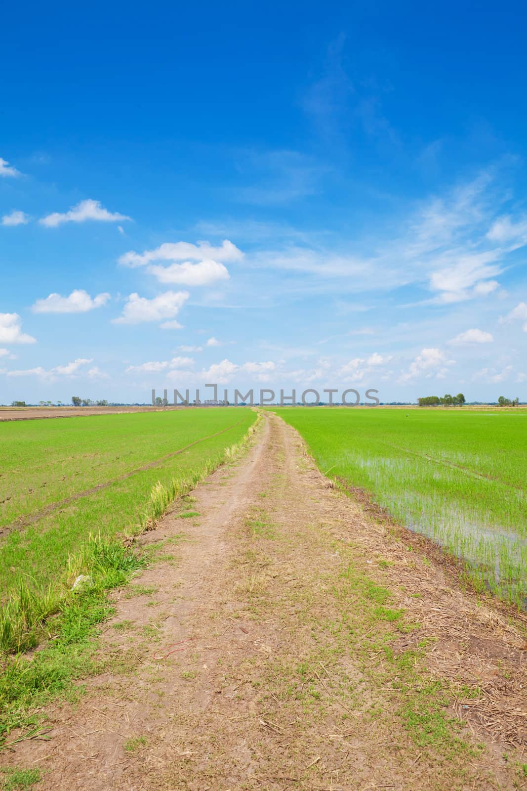 Off-road track on green field with blue sky