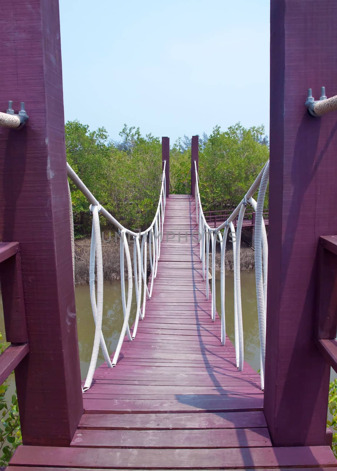 Rope bridge cross over canal in mangrove forest