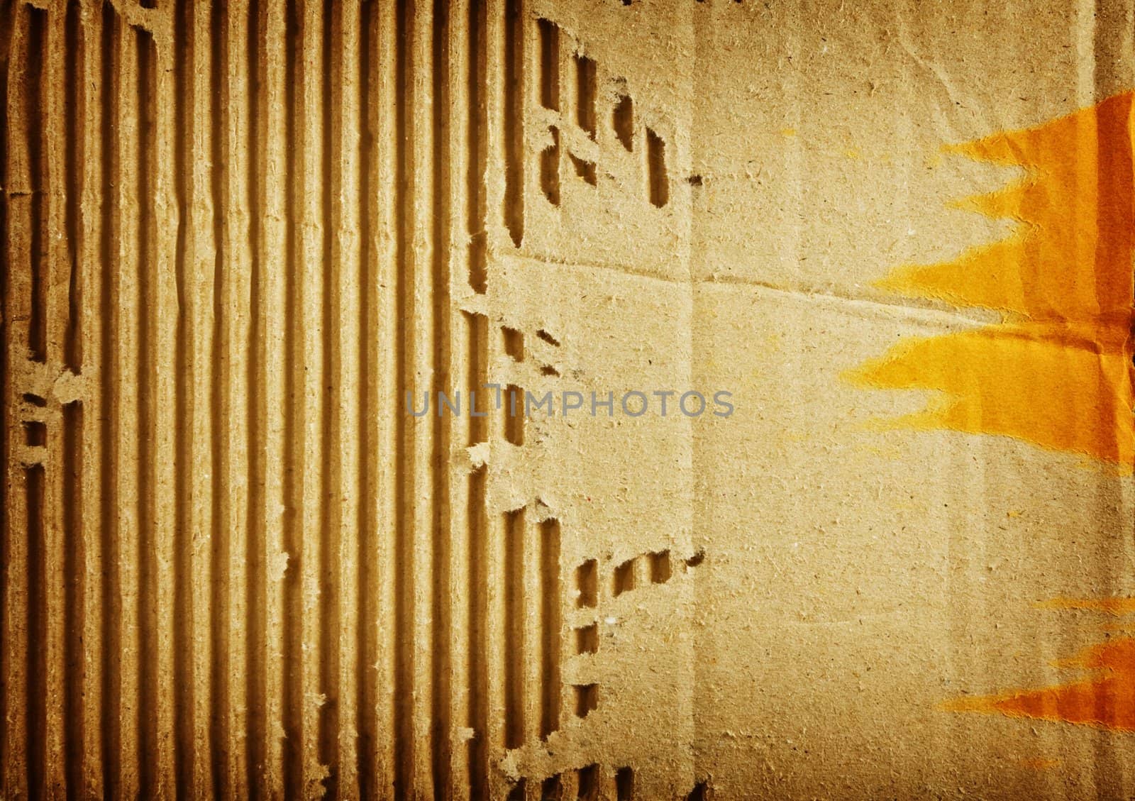 piece of corrugated cardboard