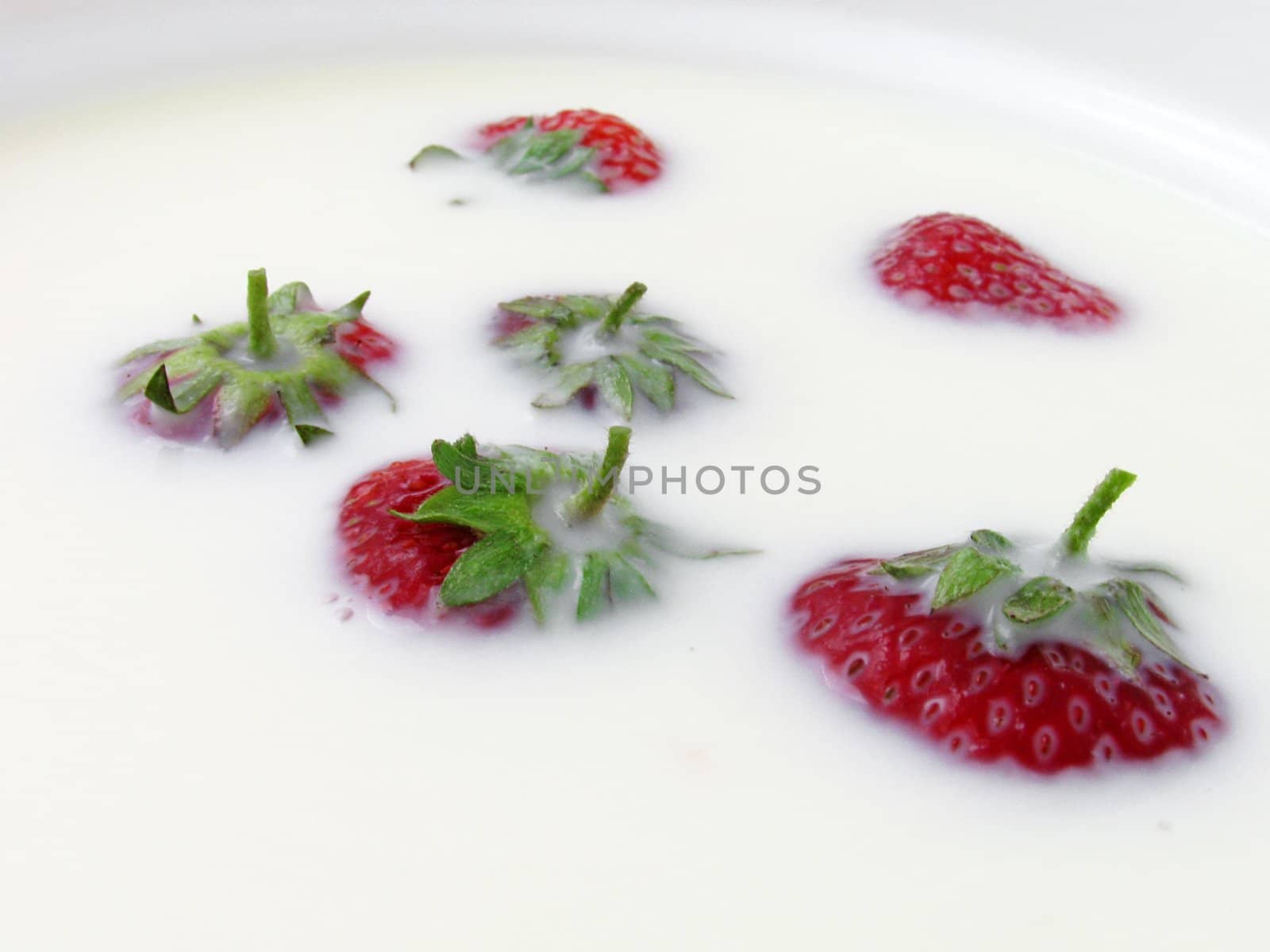strawberry in a milk by romantiche