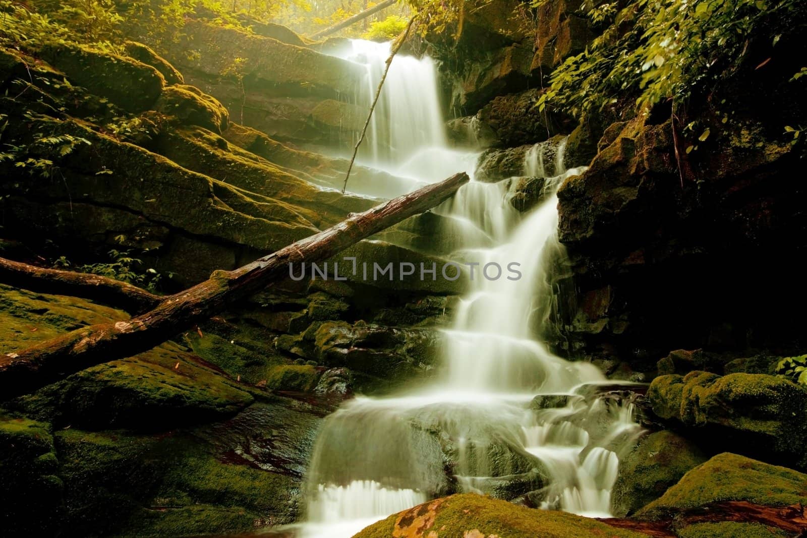 Waterfall in spring forest in Thailand