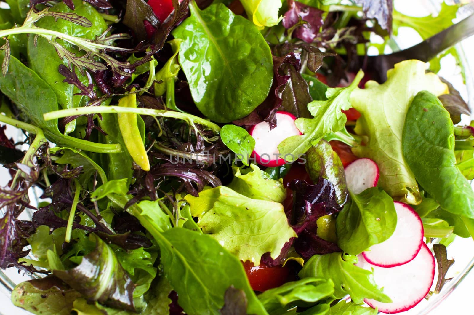 Freshly prepared mixed salad greens for healthy eating.