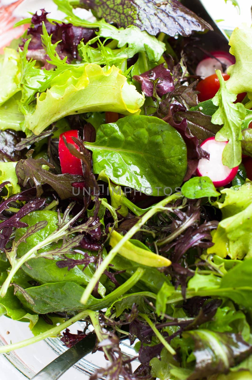 Freshly prepared mixed salad greens for healthy eating.
