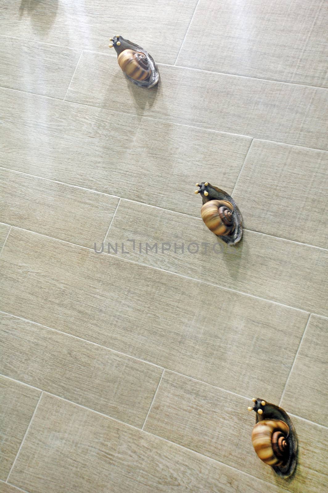 three snails on a ceramic tile