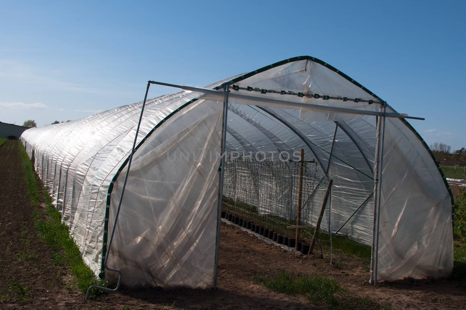 A large greenhouse or tunnelhouse at a shrub nursery