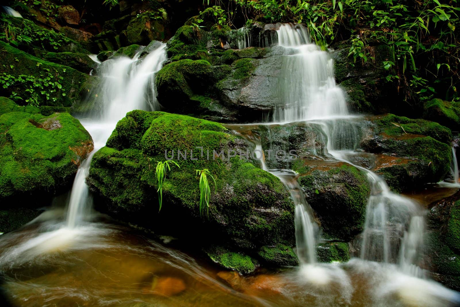 Waterfall in forest of Thailand