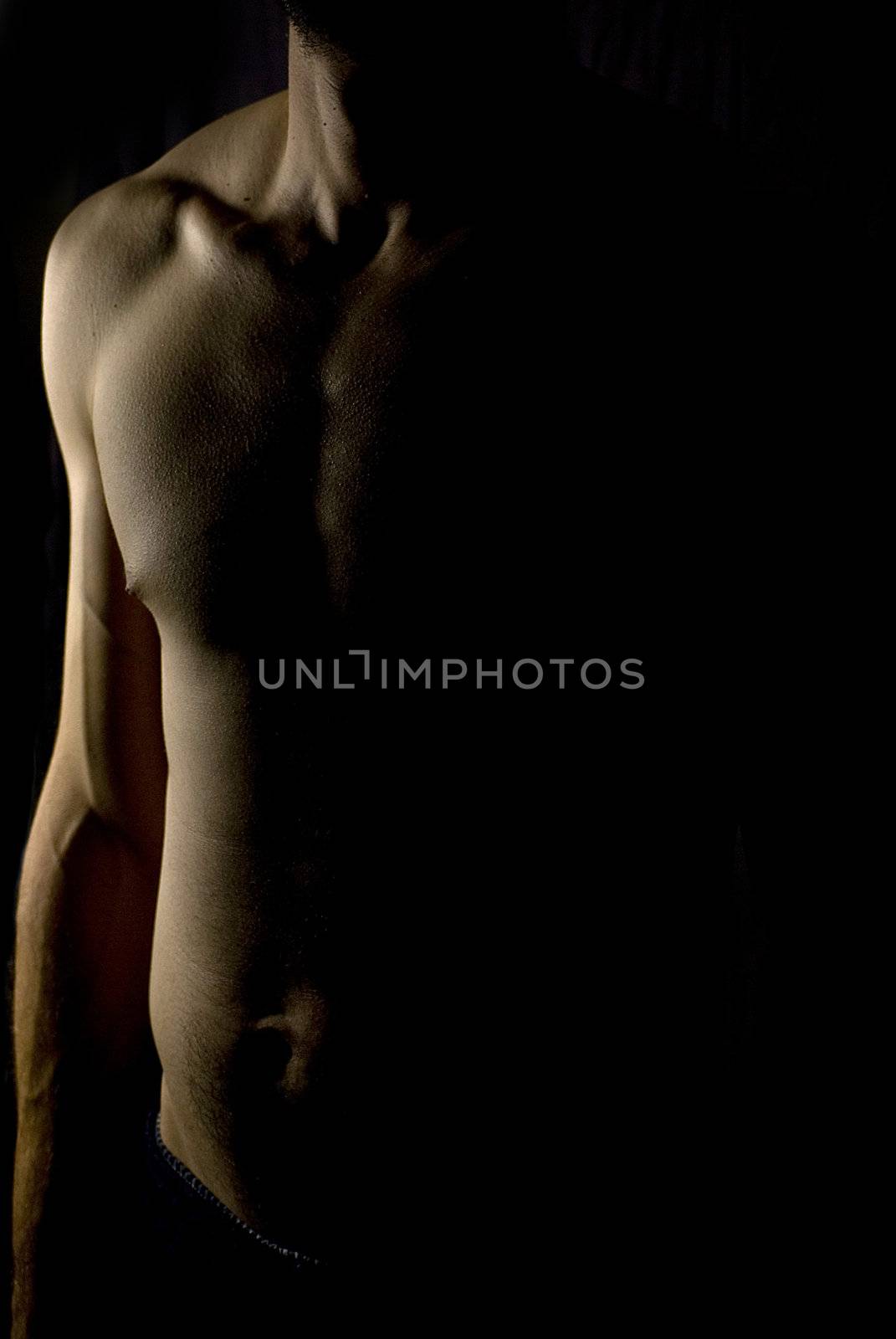 sexy fit naked male body on black background low key