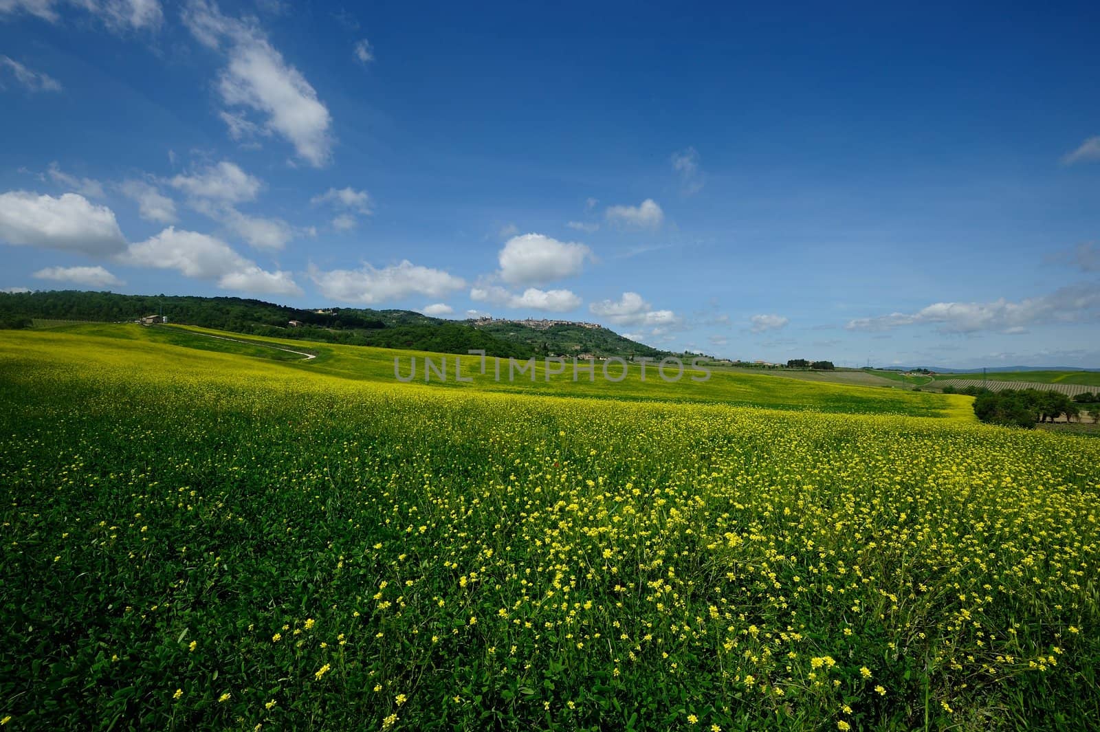 The landscape odf the "Crete Senesi" in Tuscany