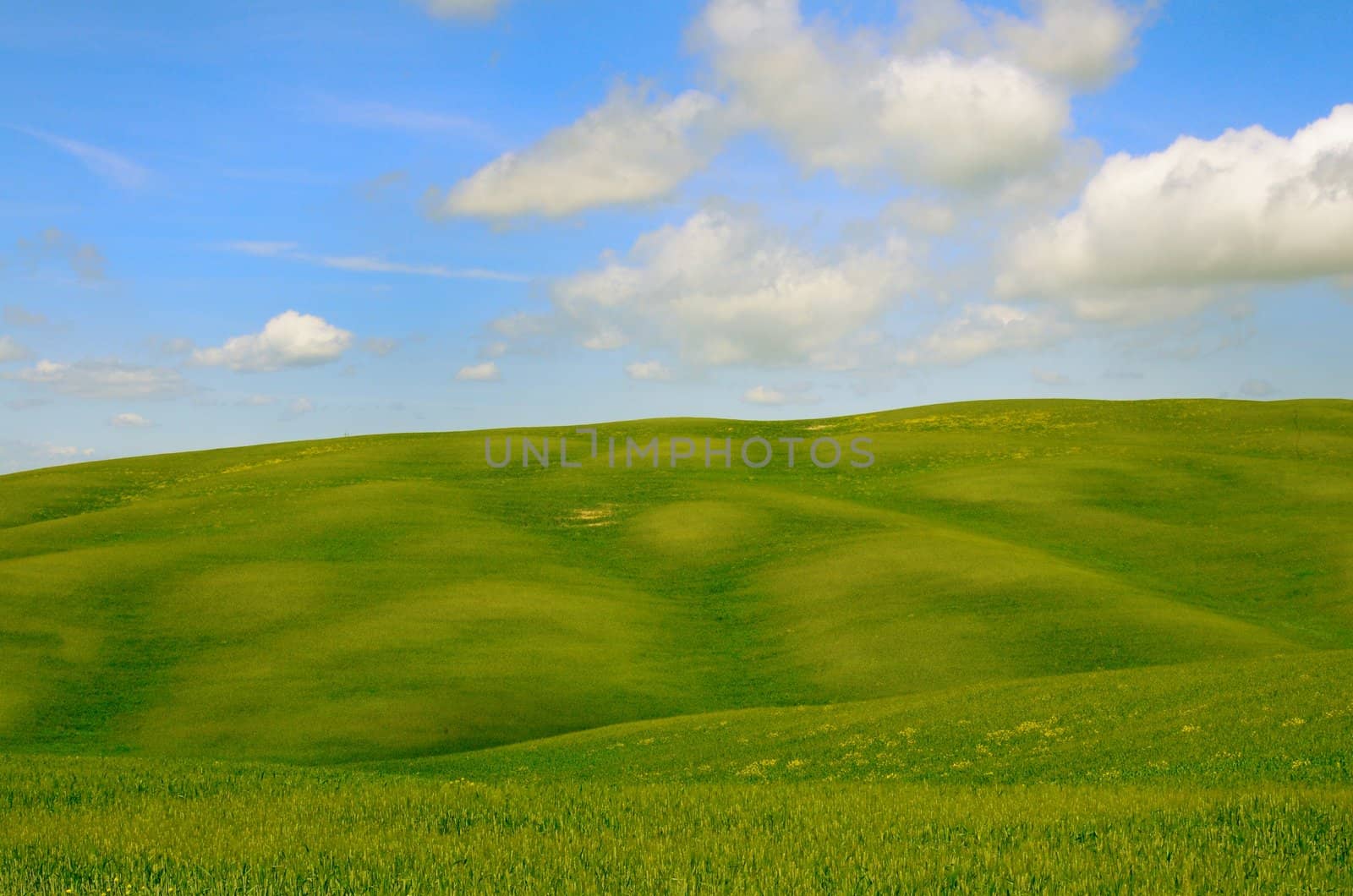 The landscape odf the "Crete Senesi" in Tuscany