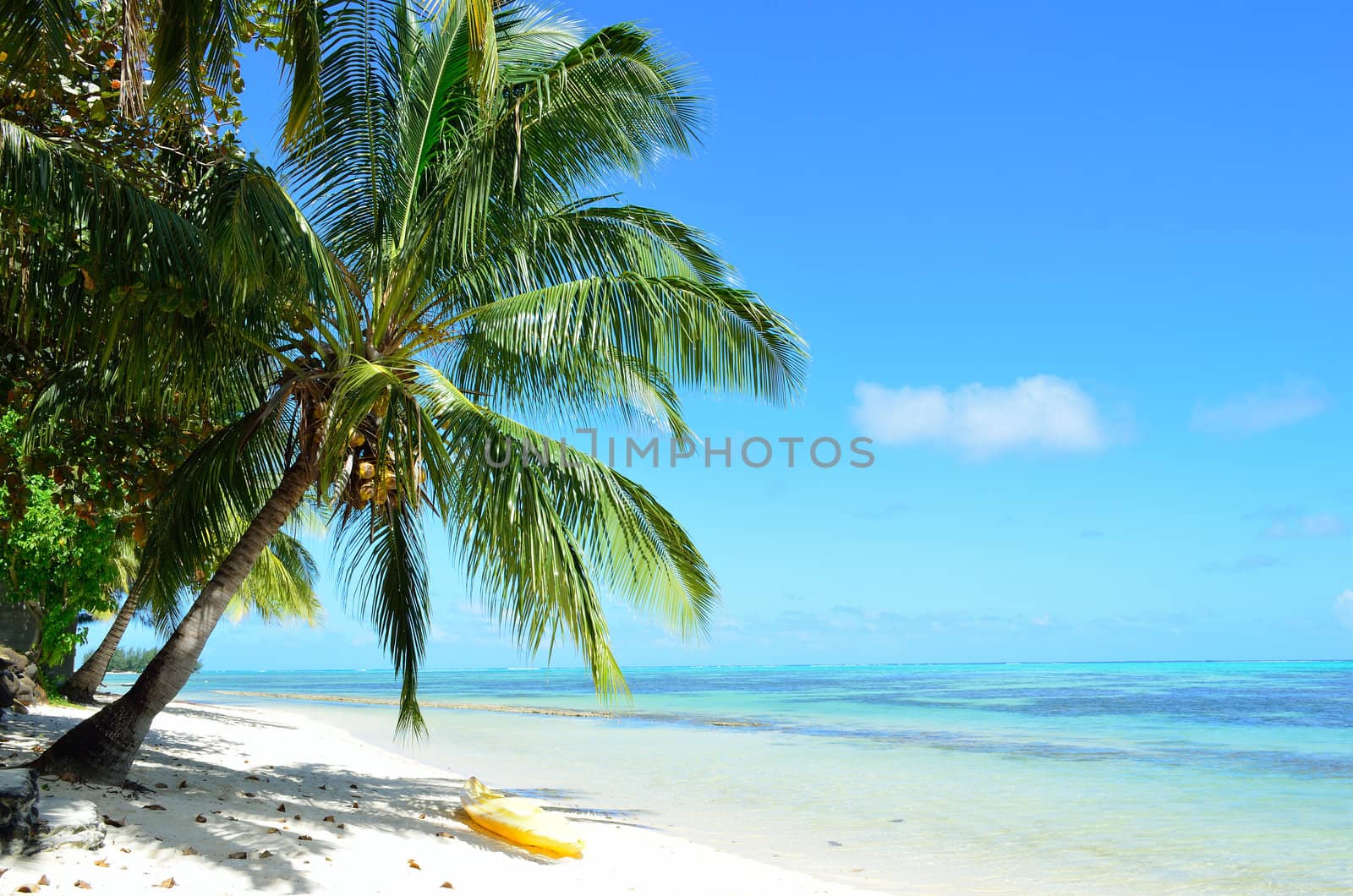 Watersport kayak under a palm tree on a tropical white sand beach with a blue sea on Moorea, an island of the Tahiti archipelago French Polynesia.