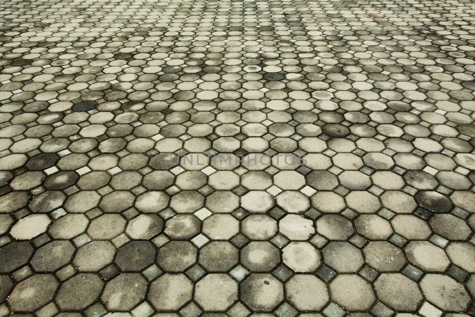 Brick pavement in a park