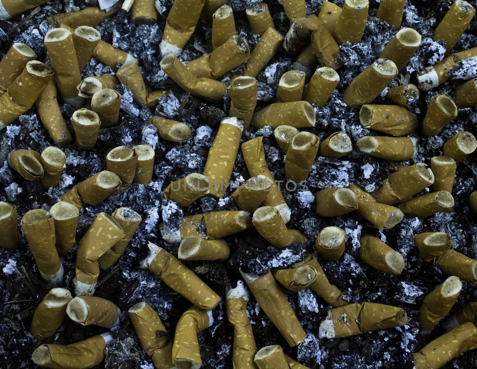 Thousands of cigarettes filters in a ashtray
