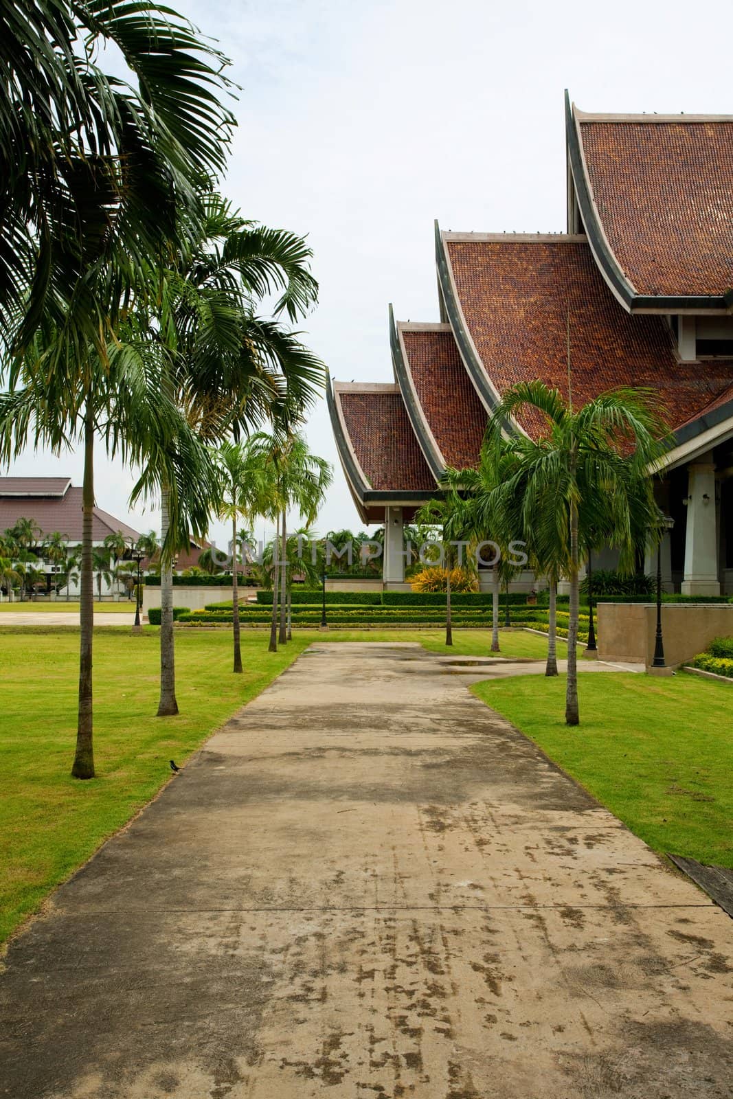 walkway in temple with palm trees