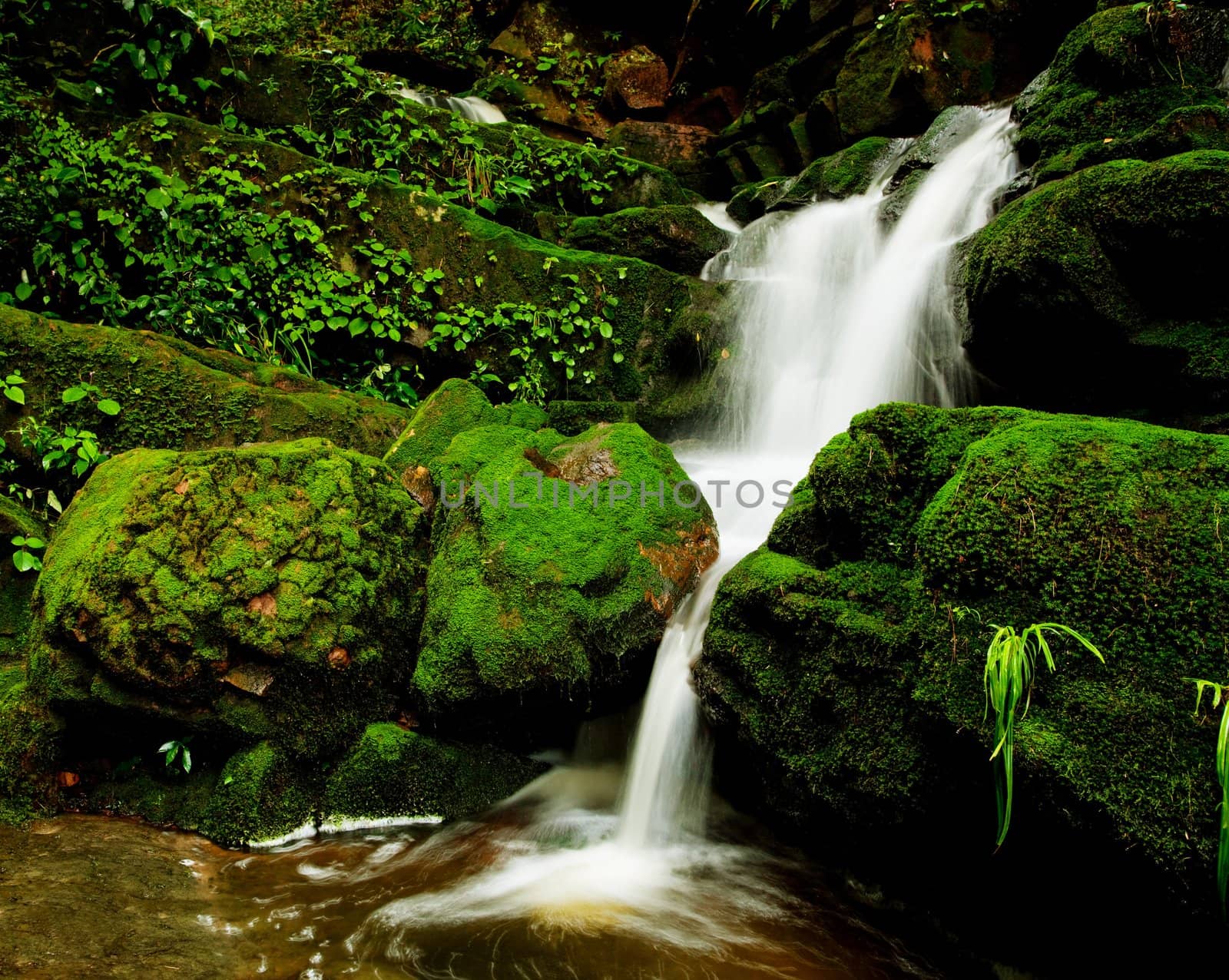 Deep forest Waterfall in Thailand