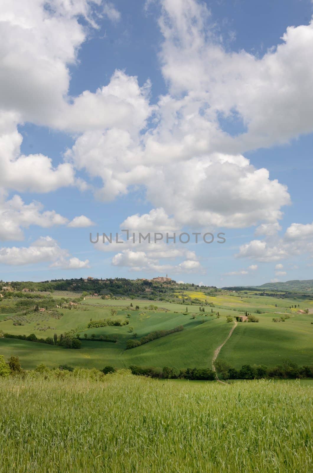 The landscape odf the "Crete Senesi" in Tuscany