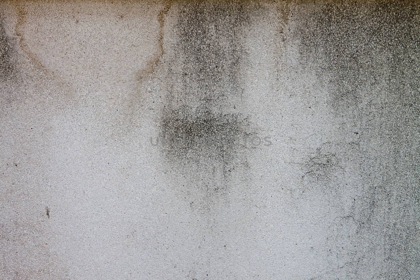 grunge cement wall for background