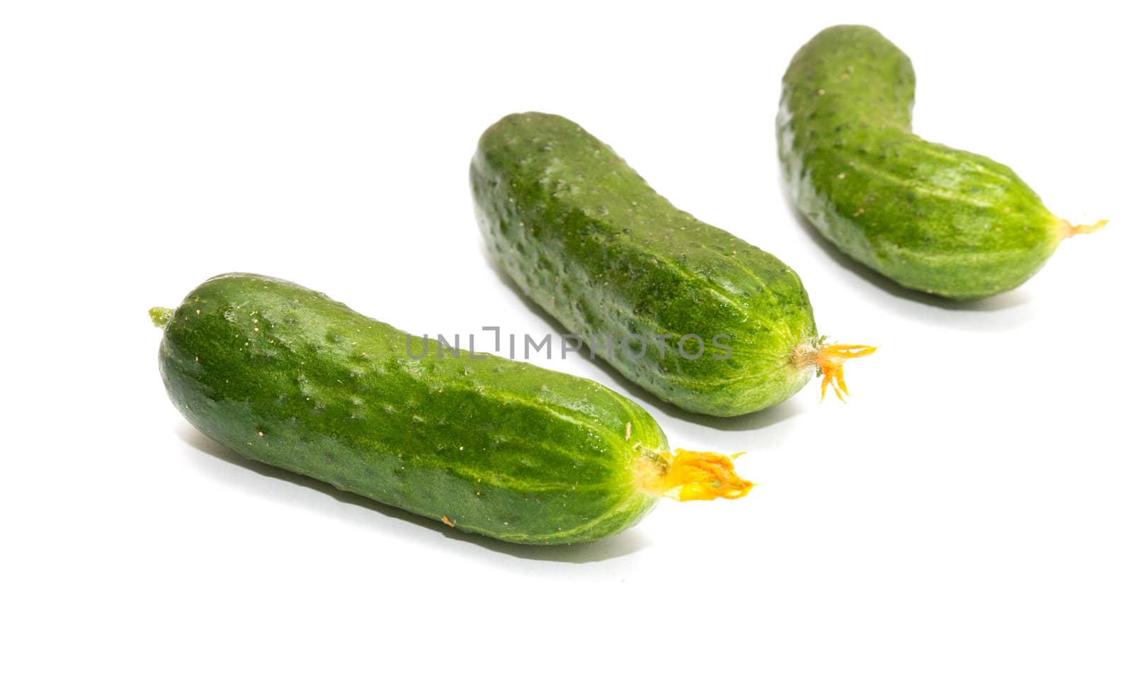 Fresh cucumbers on a white background