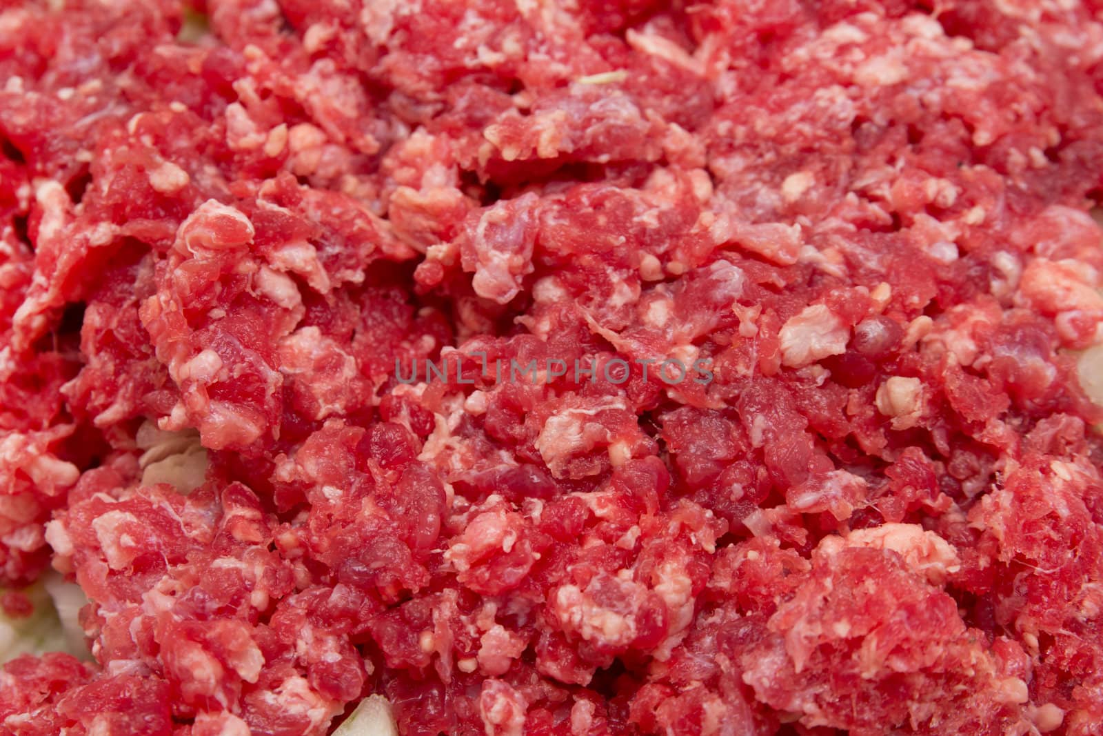meat and onions in the background