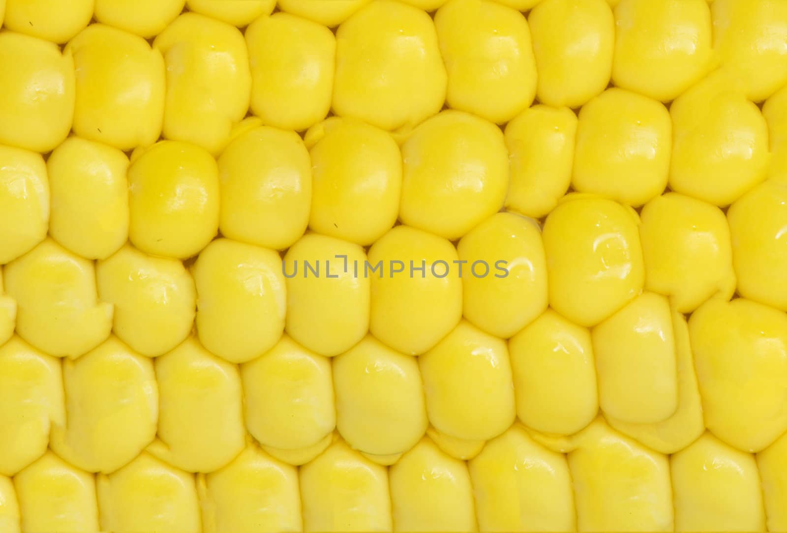 corn . macro