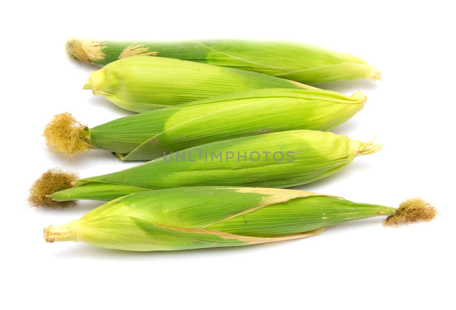 corn on a white background