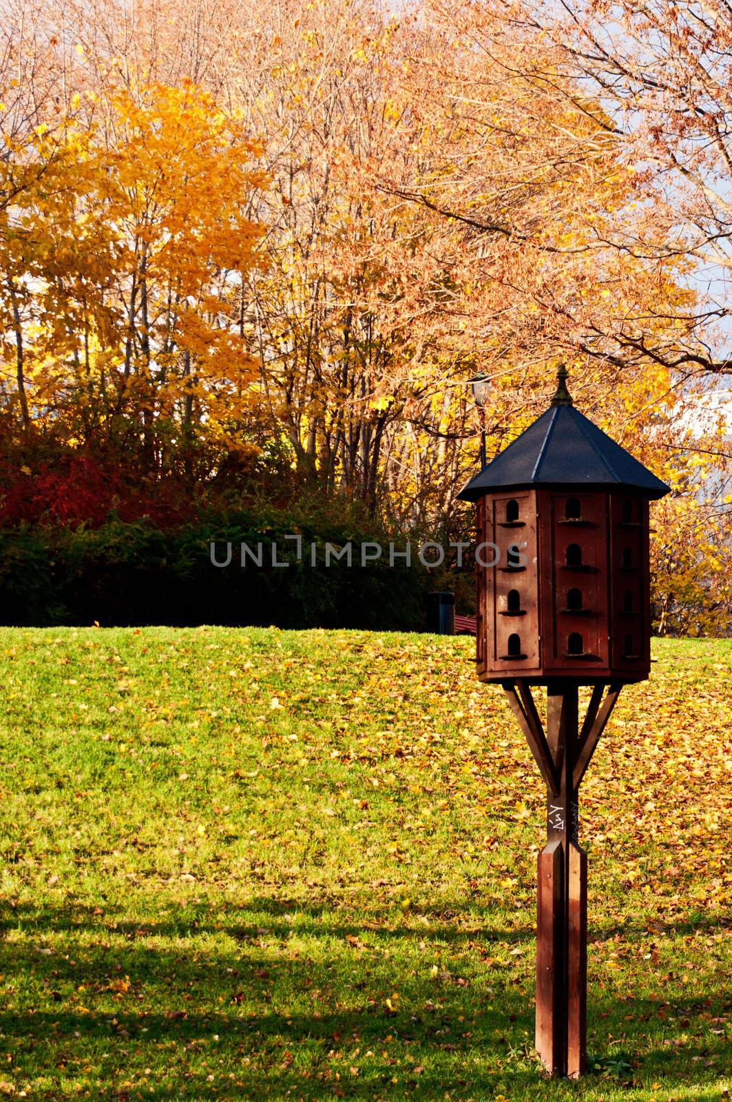 Bird house in city park at fall autumn